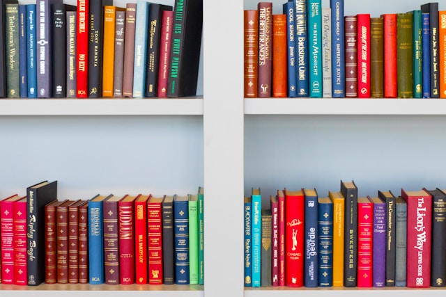 10 dicas para fazer uma estante para organizar livros