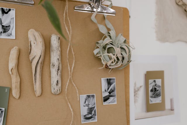 Dicas de Decoração Sustentável